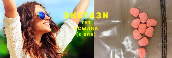 ECSTASY Богородск