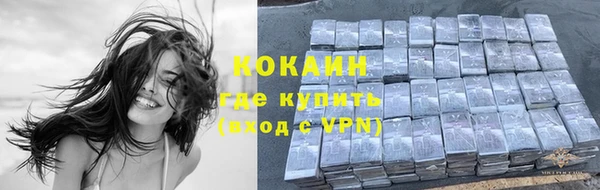 ECSTASY Богородск