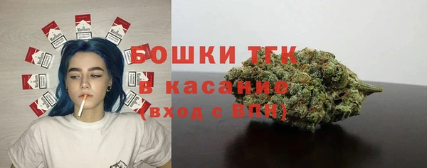 тгк Богданович
