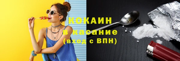 тгк Богданович