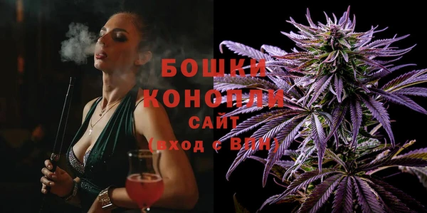 тгк Богданович