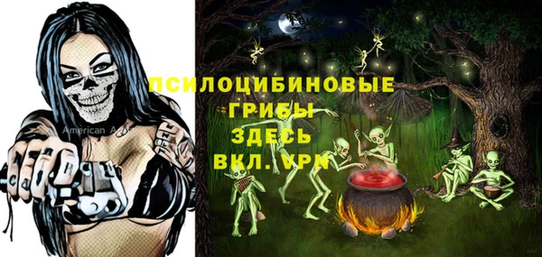 тгк Богданович