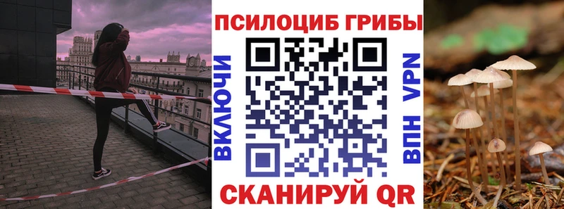 Галлюциногенные грибы мицелий  это как зайти  Мурманск  купить  цена 