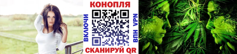 Бошки марихуана семена  закладка  Мурманск 